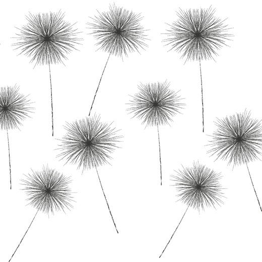 dandelions-7011385_1920.jpg